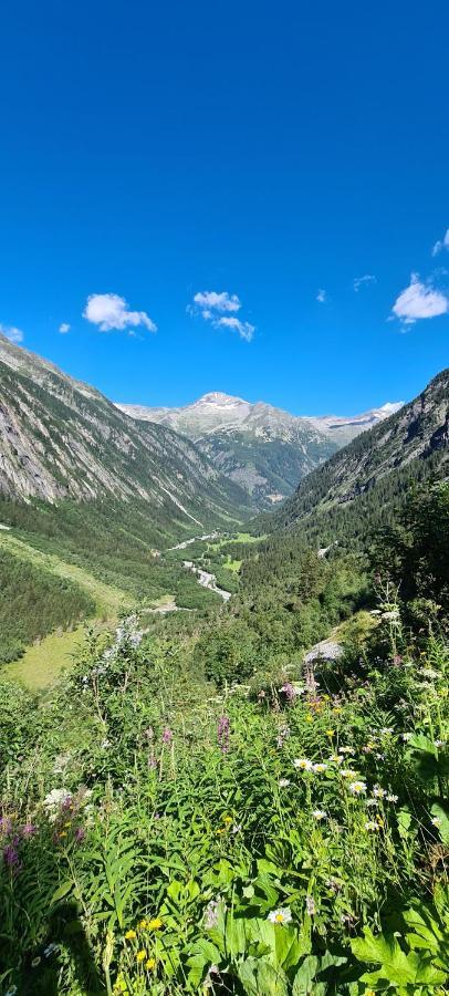 Haus Tuxerklamm Daire Finkenberg Dış mekan fotoğraf